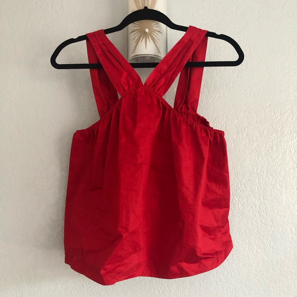 Zara Trafaluc top